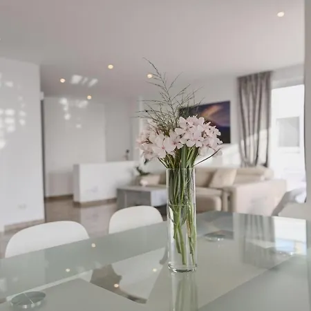 别墅 Boutique Tenerife 阿德耶